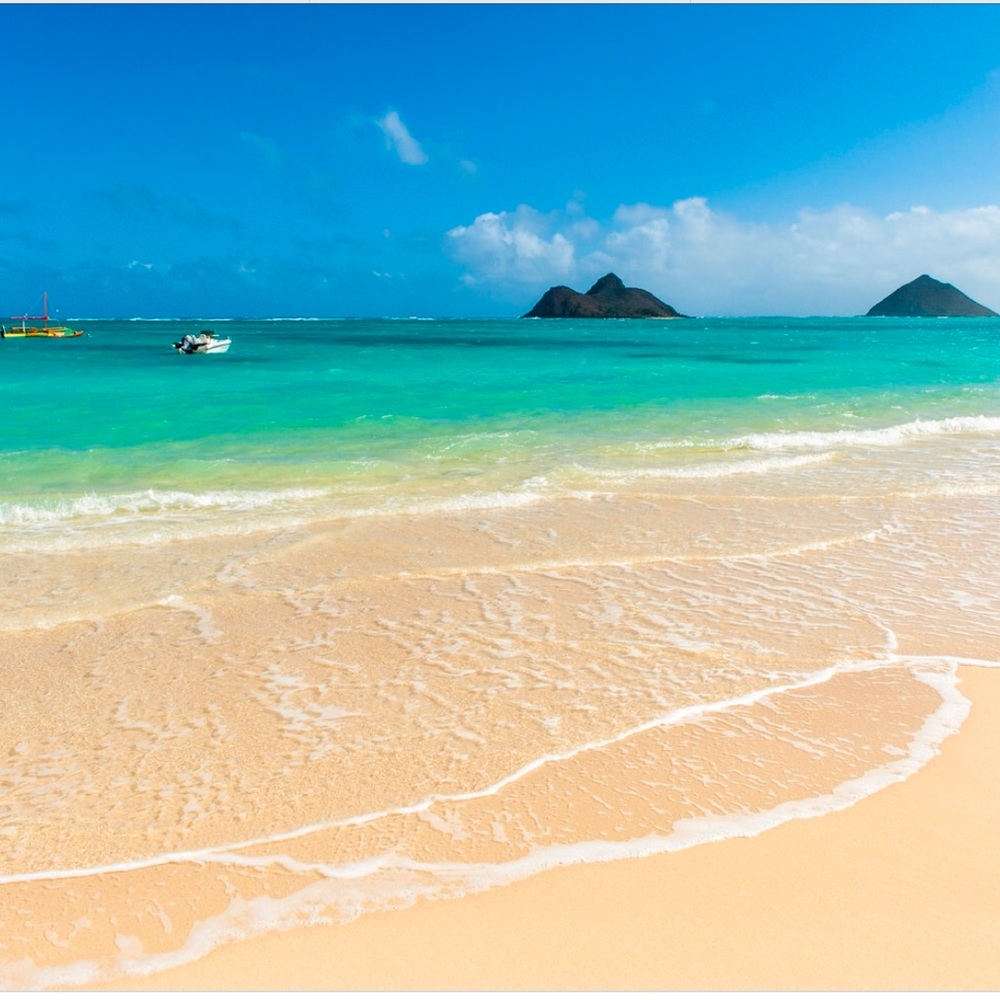 Lola & Papa are moving to the beach! Make an OFFER